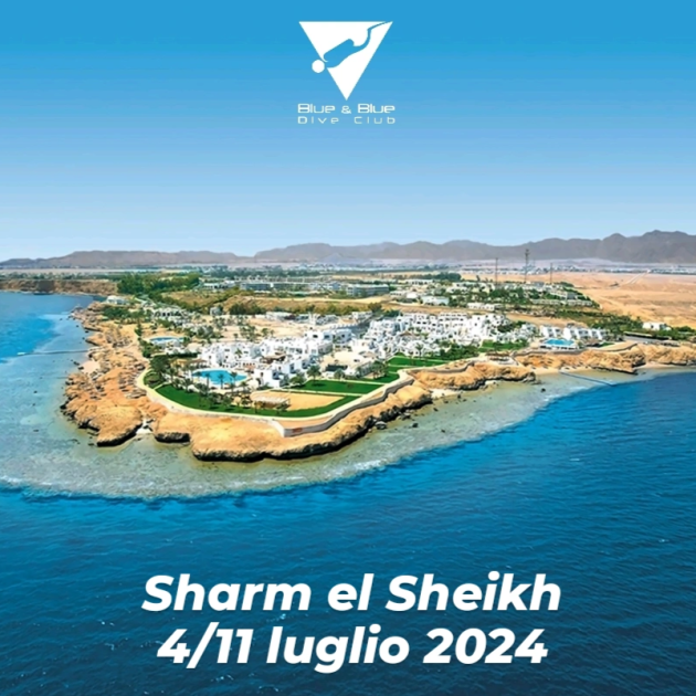 4/11 Luglio 2024 – Sharm el Sheikh (clicca  quì)