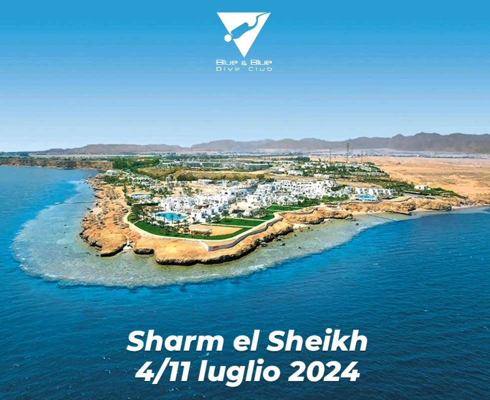 4/11 Luglio 2024 – Sharm el Sheikh (clicca  quì)